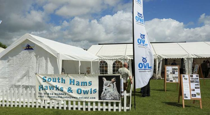 OWLS FLY INTO THE NETWORKING EVENT OF THE SUMMER